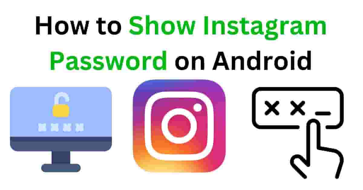 Cashstark Show Instagram Password on Android