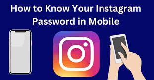 CashStark com Instagram password Check